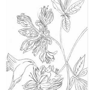 A black and white line drawing of a hummingbird hovering near a cluster of fuchsia flowers. The hummingbird is facing the left side of the image and its wings are spread out. The flowers are in the center of the image and are facing the right side of the image. The flowers have a delicate, intricate design.