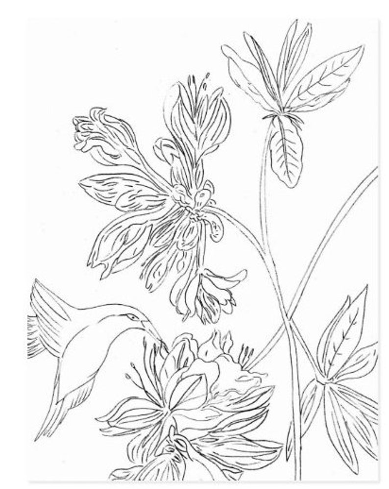 A black and white line drawing of a hummingbird hovering near a cluster of fuchsia flowers. The hummingbird is facing the left side of the image and its wings are spread out. The flowers are in the center of the image and are facing the right side of the image. The flowers have a delicate, intricate design.