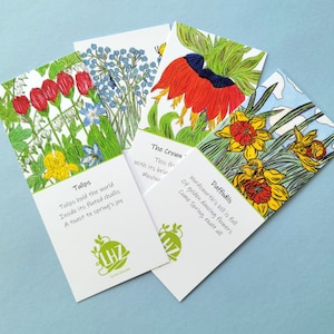Spring Haiku Bookmark Pack, Set of Four Bookmarks for Reading and Gift Giving