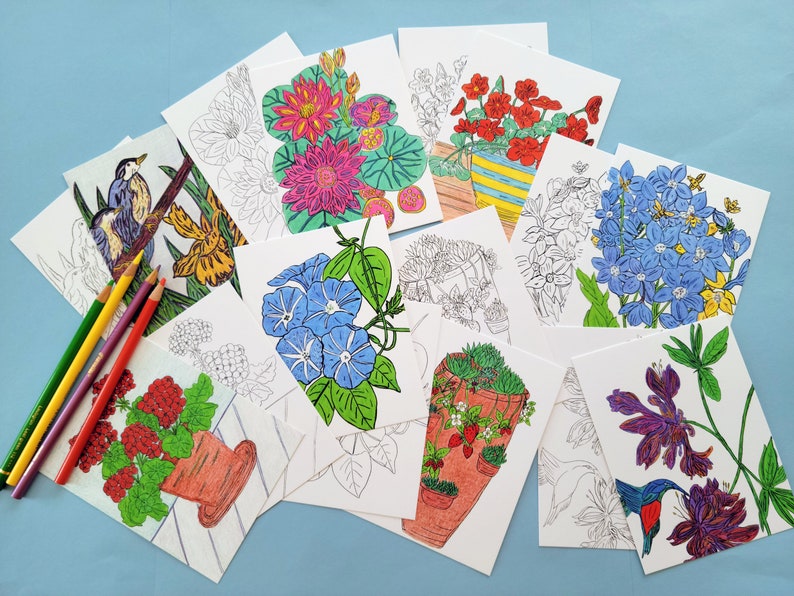 A collection of blank coloring cards featuring various floral and nature-themed illustrations. The cards are arranged in a scattered pattern on a light blue surface. The illustrations include a bird on a branch, a hummingbird, a flower pot with a variety of flowers, and a variety of other flowers and plants. The cards are all white with black outlines and are ready to be colored in.