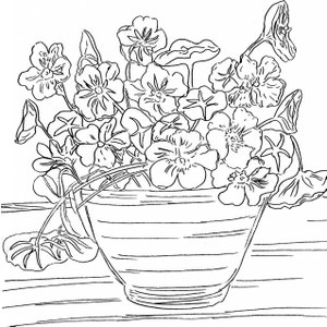 A black and white line drawing of nasturtium flowers in a striped pot. The flowers are various types of pansies and are arranged in a loose, natural style.