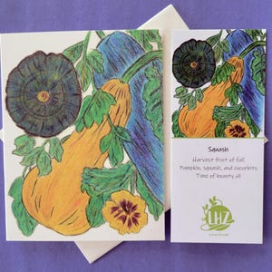 Winter Squash Note Card, Blank and Folded with Lined Linen Envelope, Hand Illustrated