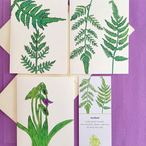 Jeu de cartes de correspondance fougère, six cartes pliées vierges avec enveloppes lignées, cartes fougère, merci, toutes les occasions, illustrées à la main
