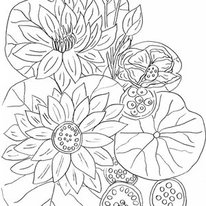 A black and white line drawing of lotus flowers and leaves. The flowers have multiple petals and a center circle with smaller circles inside. The leaves are large and round with veins. There are also several seed pods with small circles inside.