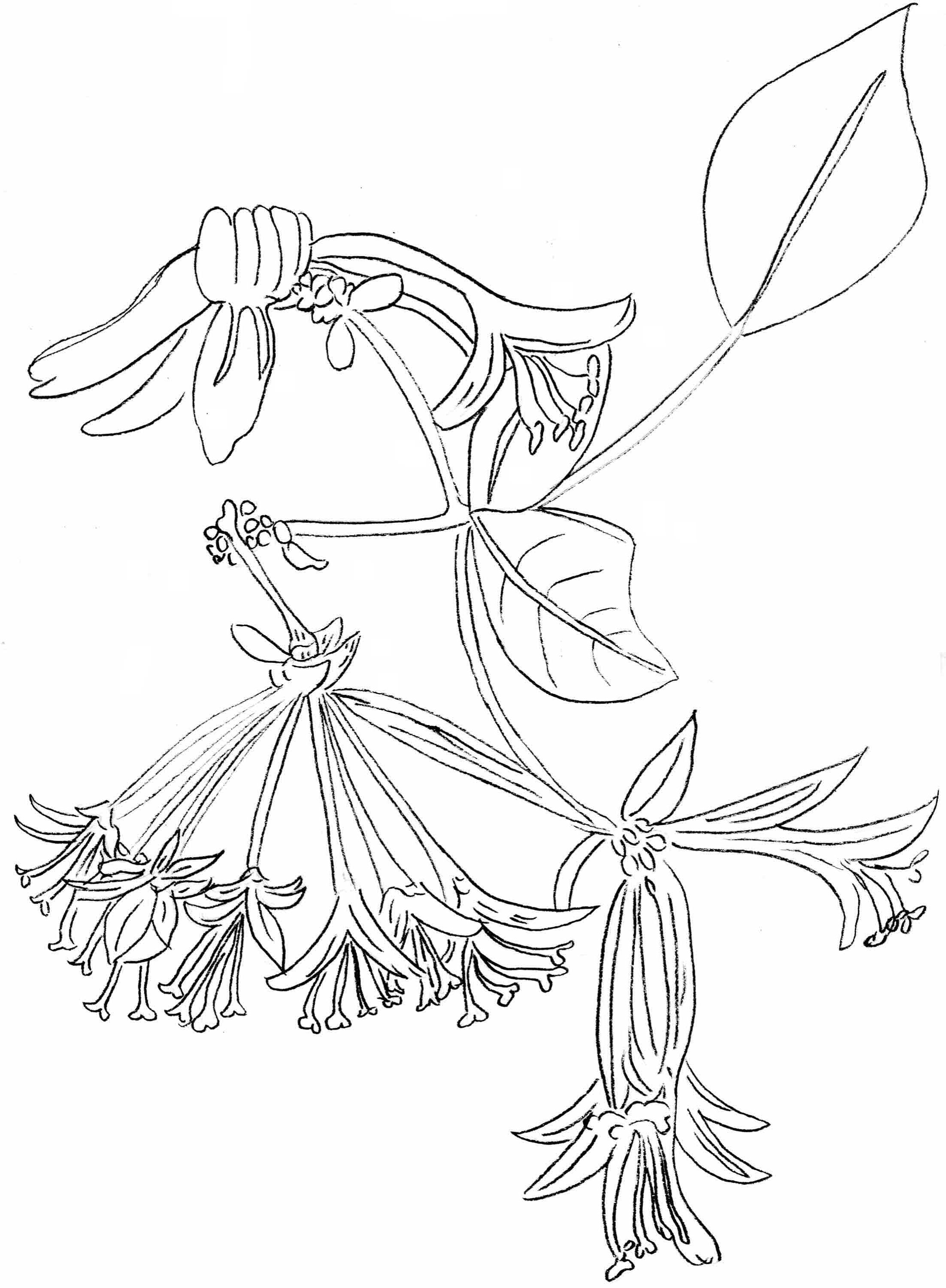 Free Printable Postcards Coloring Pages