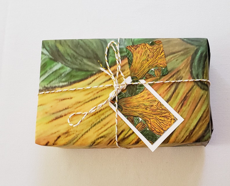 The game of squash was invented by schoolboys in image