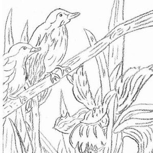 A black and white line drawing of two birds perched on a branch with an iris flower in the foreground. The birds are facing different directions, and the flower has several petals.
