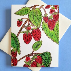 May include: A greeting card featuring a hand-drawn illustration of a raspberry branch with bright red berries and green leaves. The card is on a white background with a cream-colored envelope, set against a light blue surface.