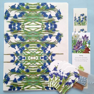 Shown above: all the components of the kit. The kit is packaged in a cellophane sleeve.