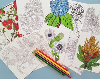 Cartes postales à colorier, cartes postales florales, coloriage pour tous les âges, série n° 5