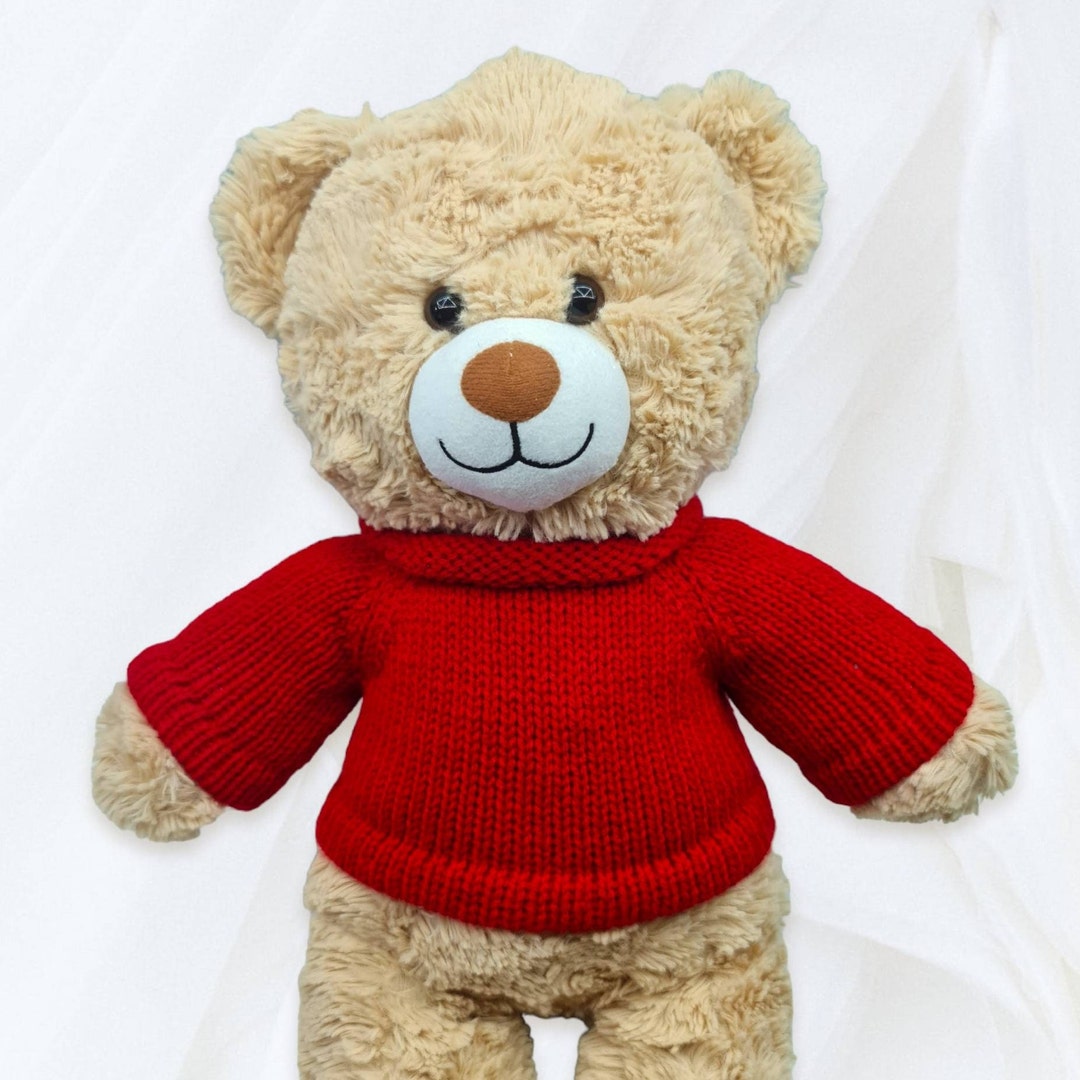 Sweater for Teddies Build a Bear and More - Etsy Australia