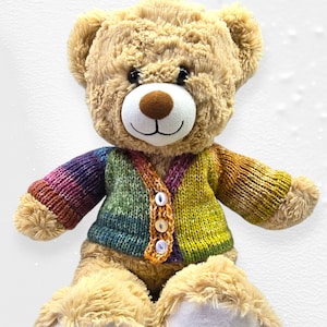 May include: A brown teddy bear wearing a multi-coloured knitted cardigan with a button closure. The cardigan has a green, yellow, and purple colour scheme.