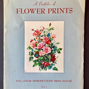 Botanische Vintage Drucke - 1940er Jahre Gartenblumen Lithographie, Set mit 6 Dorada USA Drucken, 11 Zoll x 14 Zoll Blumenposter