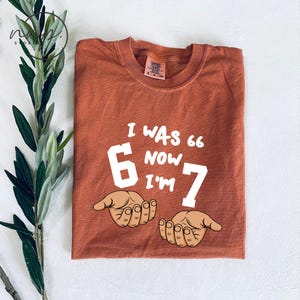 Comfort Colors® I Was 66 Now I’m 67 T-shirt, Funny 67th Birthday Father's Day Tee, Dad Six Seven Shirt, Custom Grandpa Gift image 3