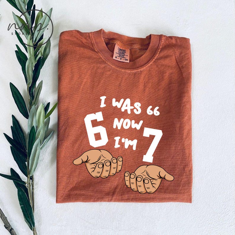 Comfort Colors® I Was 66 Now I’m 67 T-shirt, Funny 67th Birthday Father's Day Tee, Dad Six Seven Shirt, Custom Grandpa Gift image 3