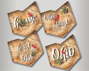 Montañas rusas de Ohio