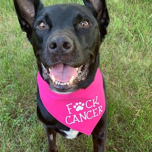 Fuck Cancer Dog Bandana | Cancer Survivor Dog Bandana | Cancer Sucks Dog Bandana | Therapy Dog Bandana | Kick Cancer's Butt Dog Bandana