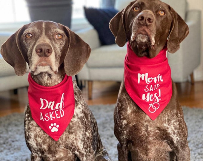 My Hoomans Are Getting Married Dog Bandana My Humans Are Etsy