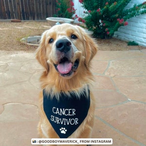 Cancer Survivor Dog Bandana | Cancer Sucks Dog Bandana | Fuck Cancer Dog Bandana | Therapy Dog Bandana | Kick Cancer's Butt Dog Bandana