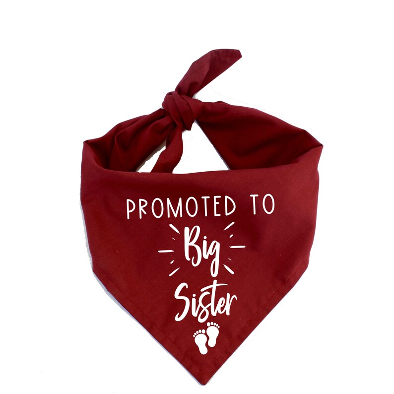 Promoted To Big Sister Dog Bandana My Parents Are Getting Me Etsy