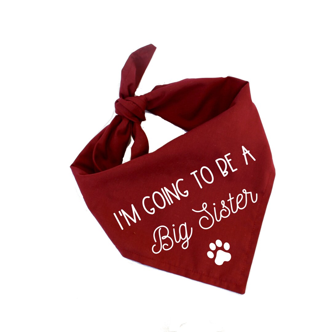 I'm Going to Be A Big Sister Dog Bandana Baby Etsy