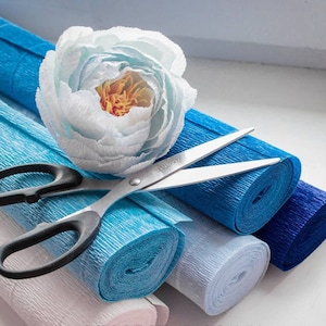 Rotoli carta crepe, fiori carta, carta imballaggio, accessori per artigianato carta, decorazione carta crepe, confezione regalo Fiorista.