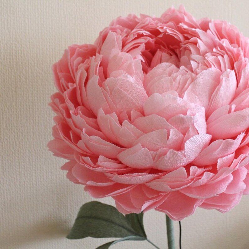Giant Paper Flower with Stem Huge Paper Peony Photo Prop Etsy