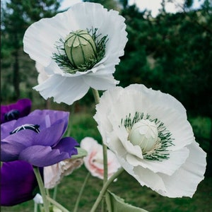 Giant white and purple crepe paper poppy flowers outdoors with green background, realistic handmade Italian paper flowers showing natural movement and details.