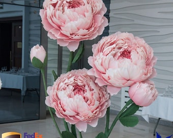 Giant Paper Peony Set: Wedding Backdrop Decor, 5 Huge Flowers With