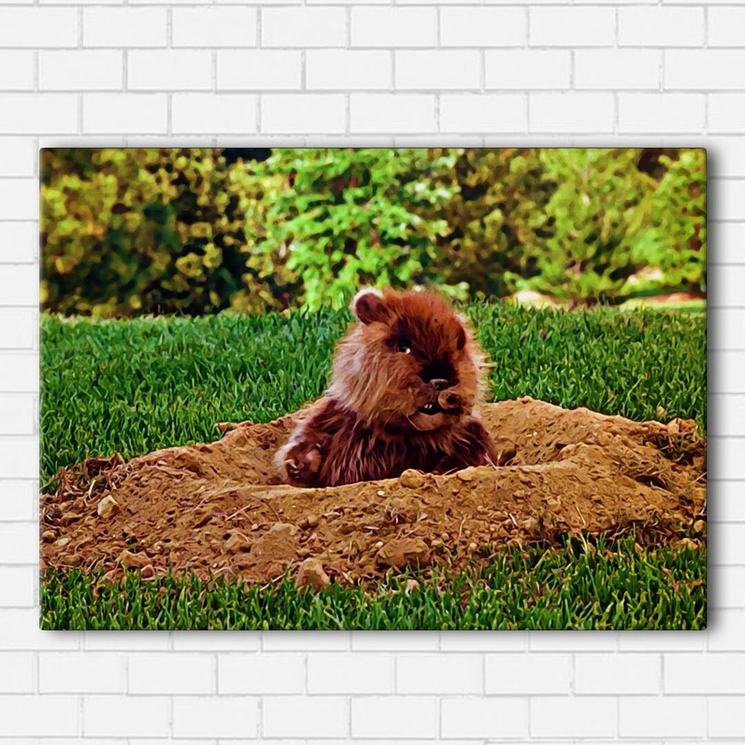 Caddyshack Gopher for sale Only 2 left at 60