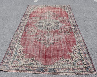 May include: A rectangular area rug featuring a large central medallion in muted blue and cream tones set against a faded red field. The rug has a wide decorative border with intricate floral patterns in blue, cream, and red, and short fringe.