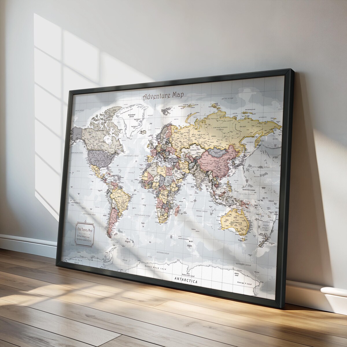 Push Pin World Map