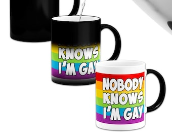 Nobody Knows I'm Gay Heat Colour Changing Mug