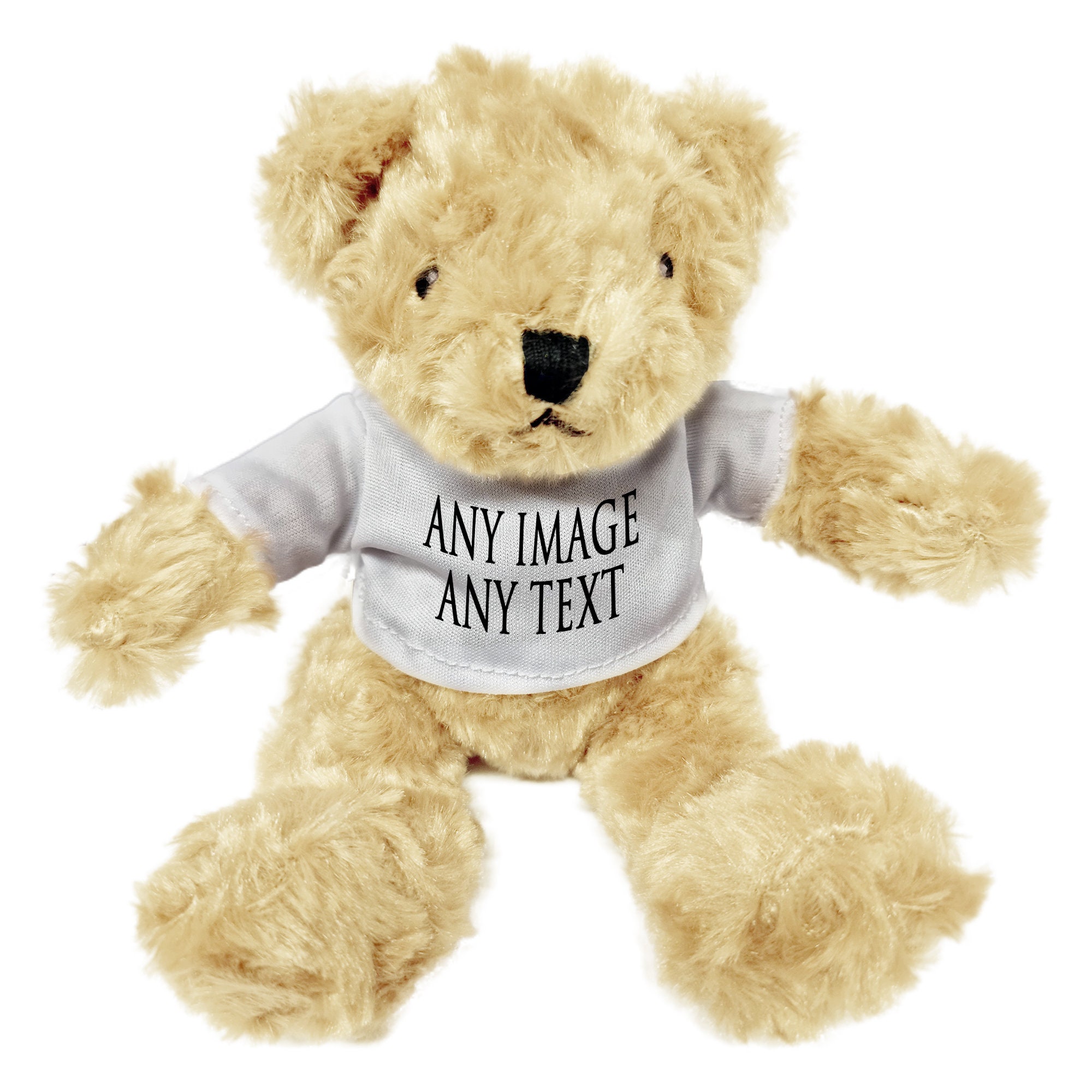 Micro teddy bear top puppies for sale