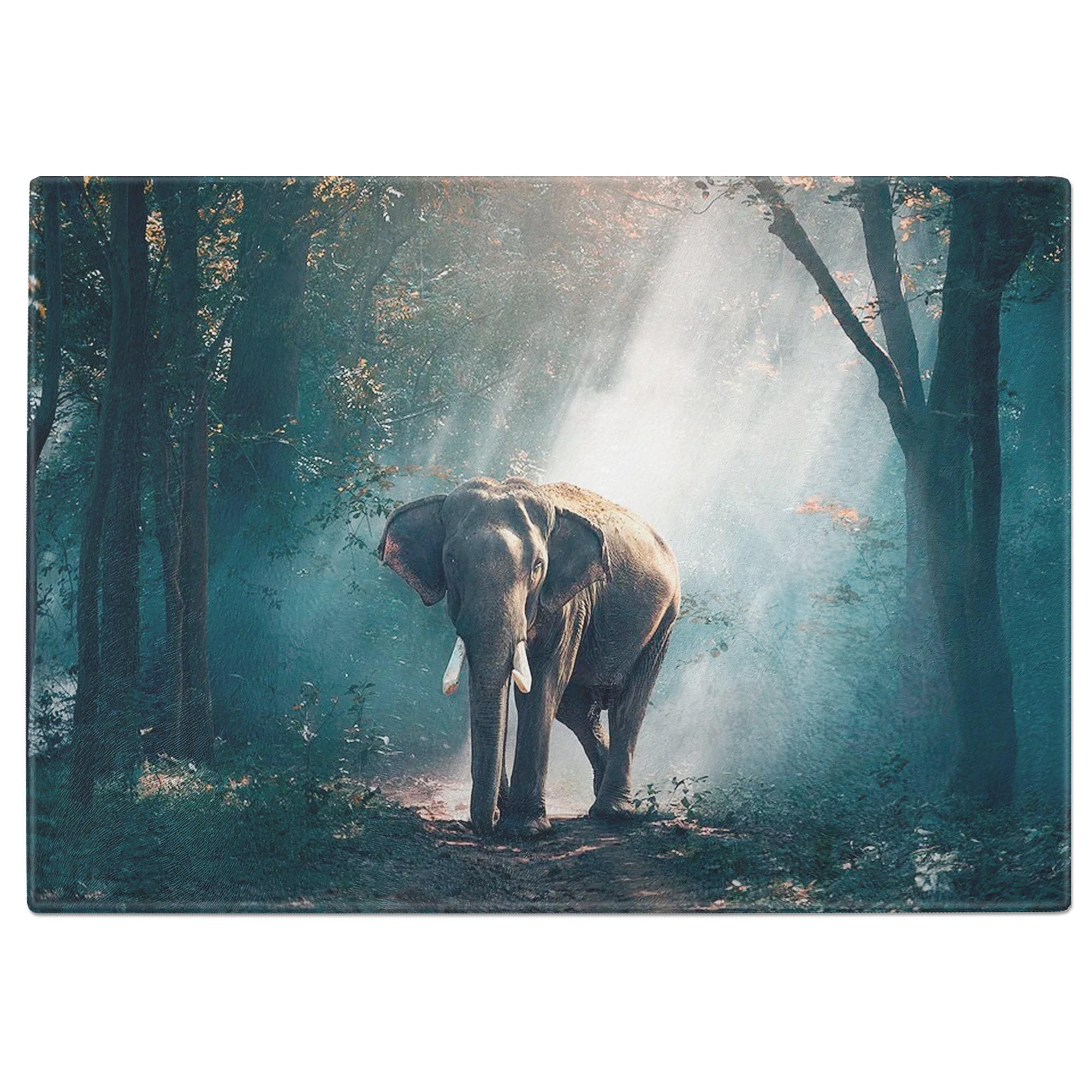 Elephant in Forest Tempered Glass Chopping Board Variations Etsy UK