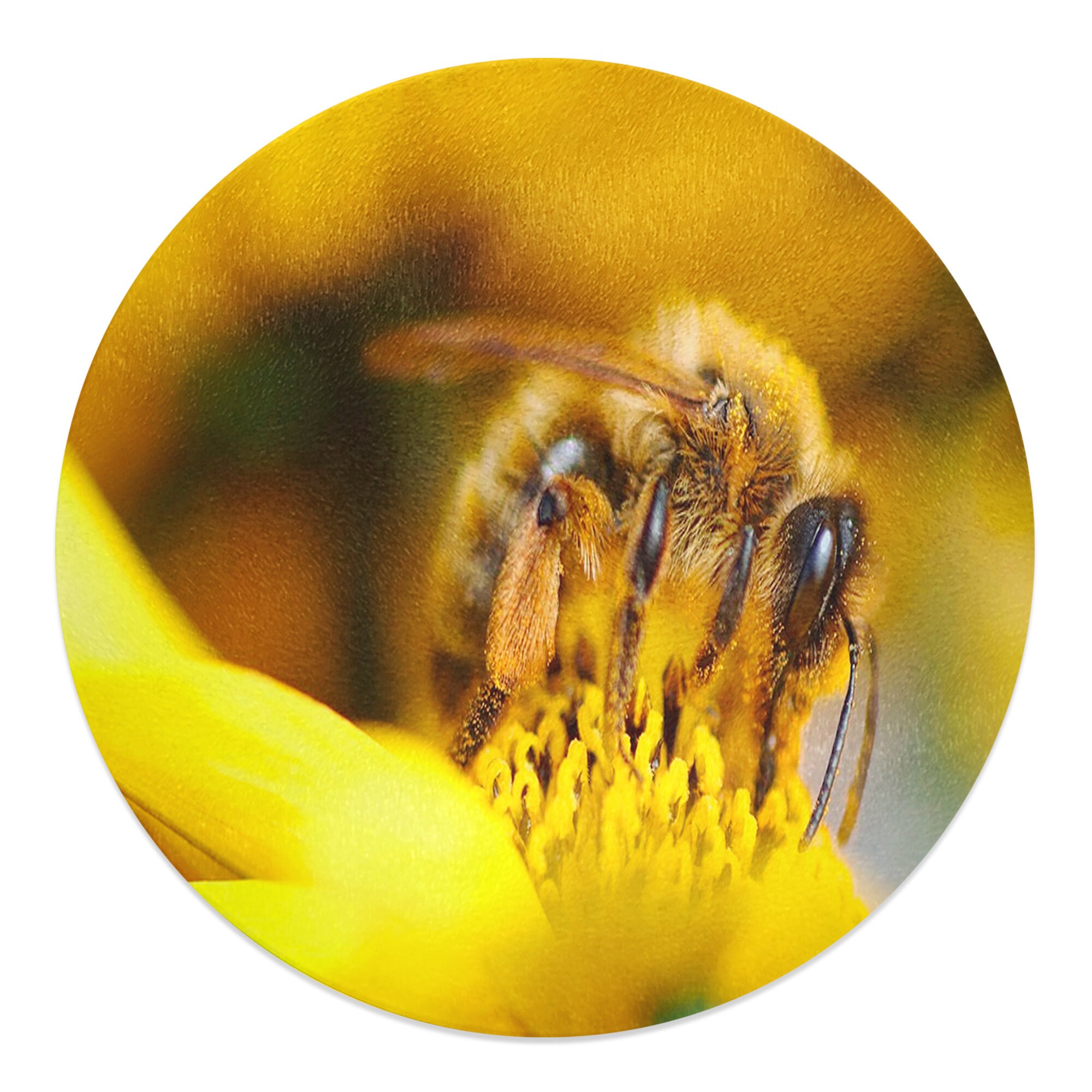 planche à découper en verre trempé fleurs jaunes pollinisatrice d'abeilles rondes de 30 cm