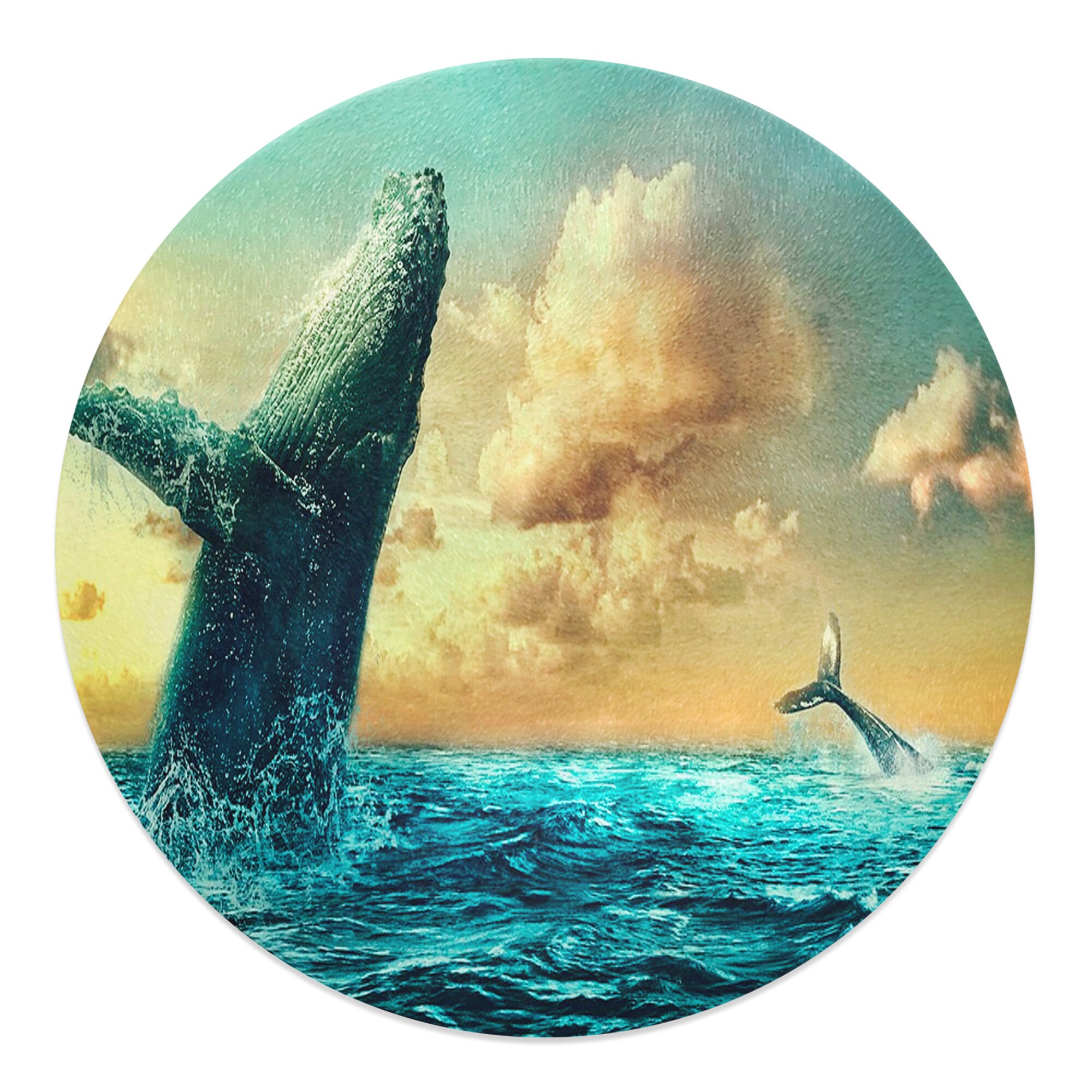 baleines rondes de 30 cm dans la planche à découper en verre trempé l'océan