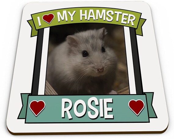 I love cheap my hamster
