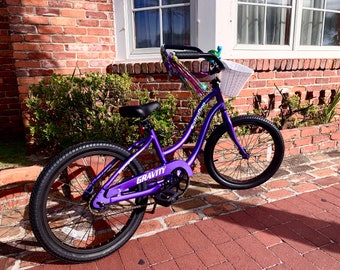 gravity salty dog bike