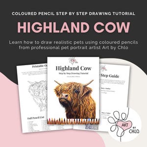 May include: A step-by-step drawing tutorial for a Highland Cow using coloured pencils. The image includes a guide, a pencil list, and a finished drawing. The text reads "Art by Chlo".