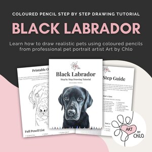 Op de afbeelding: Een printbare tekenhandleiding voor een zwarte Labrador. De handleiding bevat een stapsgewijze handleiding, een volledige potloodlijst en een printbare schets van de hond.
