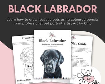 May include: A printable drawing tutorial for a black Labrador dog. The tutorial includes a step-by-step guide, a full pencil list, and a printable outline of the dog.