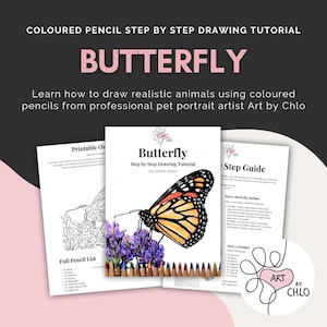 May include: A step-by-step drawing tutorial for a butterfly, using coloured pencils. The cover shows a butterfly illustration with orange, black, and white wings, and purple flowers. The text reads "BUTTERFLY" and "Step by Step Drawing Tutorial".