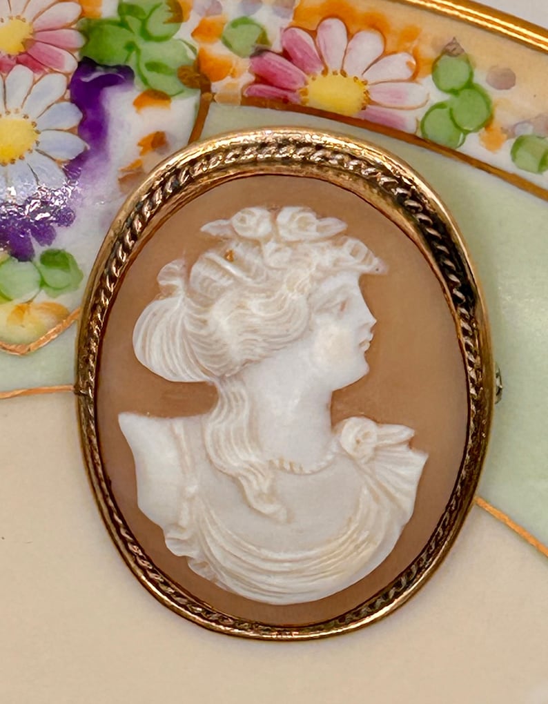 May include: A cameo brooch with a gold-toned frame and a white cameo of a woman's profile. The cameo is set against a brown background.