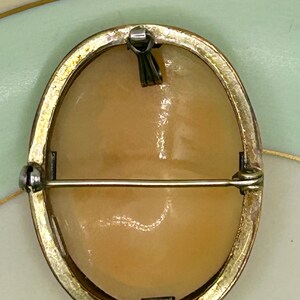 May include: A gold-toned oval cameo brooch with a white cameo portrait. The brooch has a pin and catch closure on the back.