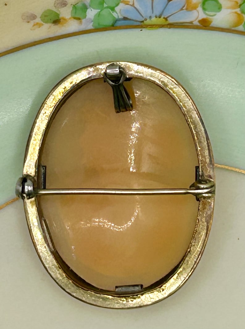 May include: A gold-toned oval cameo brooch with a white cameo portrait. The brooch has a pin and catch closure on the back.