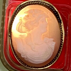 May include: A cameo brooch with a gold-toned frame and a white cameo of a woman's profile.