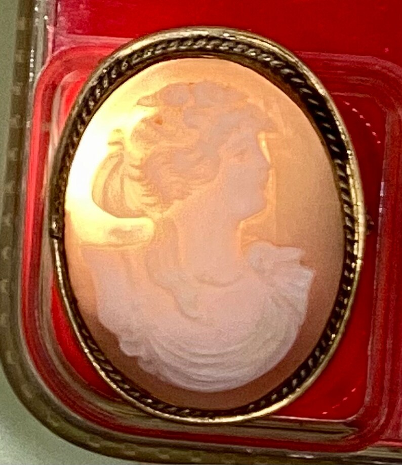 May include: A cameo brooch with a gold-toned frame and a white cameo of a woman's profile.