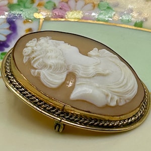 May include: A cameo brooch featuring a woman's profile carved in white shell, set in a gold-toned oval frame with a rope-like border. The brooch has a pin and catch closure.