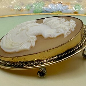May include: A gold-toned cameo brooch with a white cameo of a woman's profile. The cameo is set in a gold-toned oval frame with a rope-like border. The brooch has two gold-toned prongs on the back.